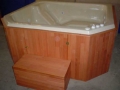 pic4_large