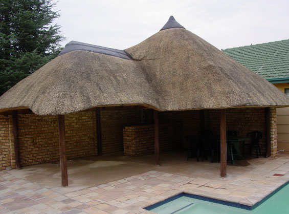 pic1_large