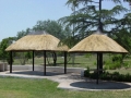 pic10large