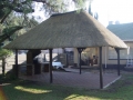 pic16_large