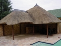 pic1_large