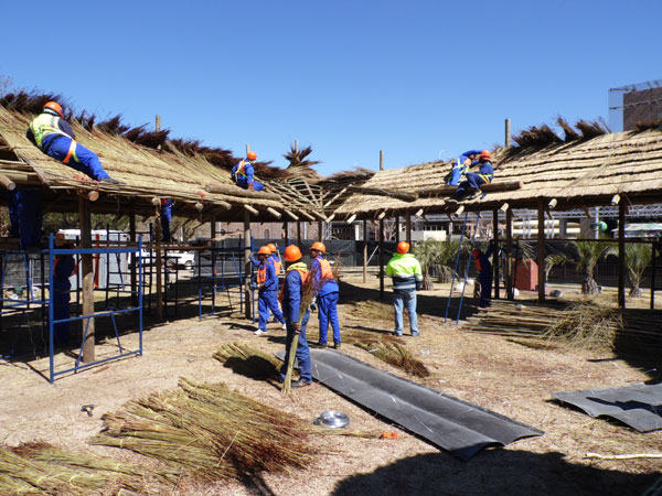 thatch-development51