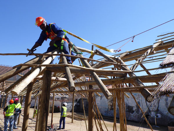 thatch-development7