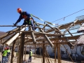 thatch-development7