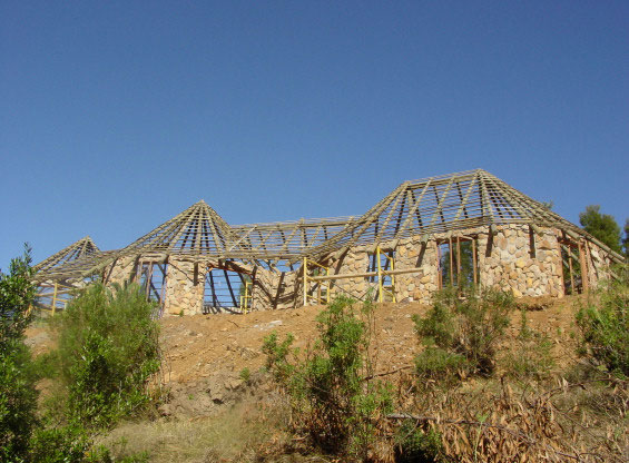 pic11large