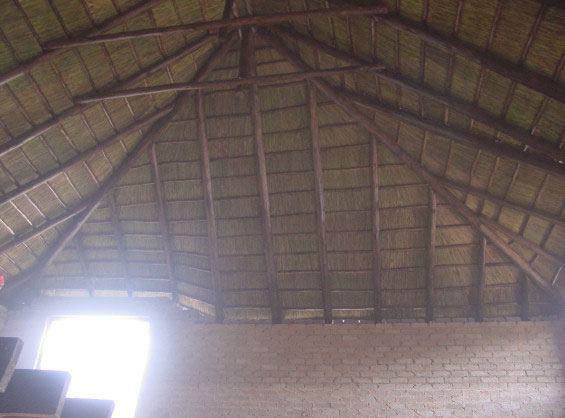 pic16_large