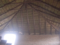 pic16_large